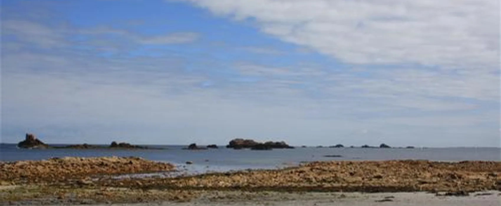 Camping Municipal De La Mer