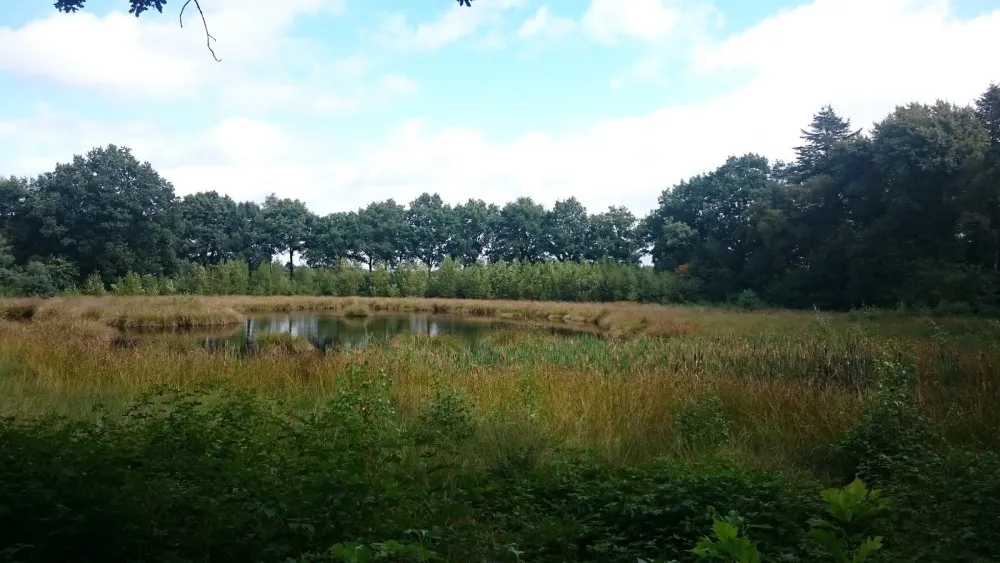 Natuurkampeerterrein De Slangenborg