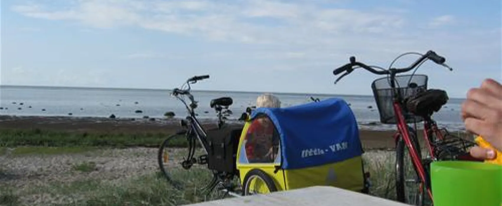 Albertinelund Camping