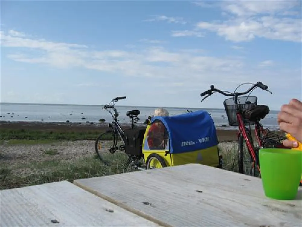 Albertinelund Camping