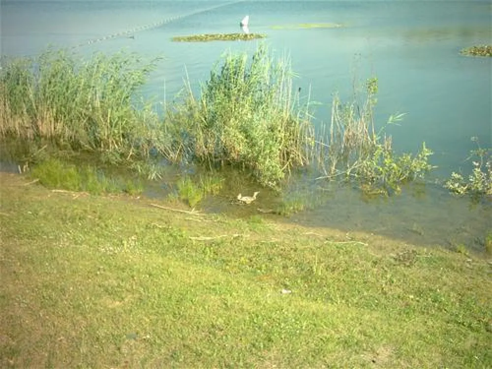 Freizeitgebiet Grosswelzheim