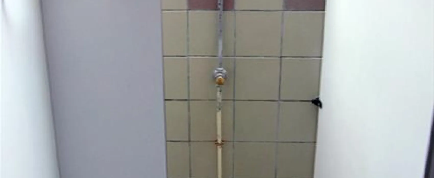 Les Grebes du Lac de Marcenay