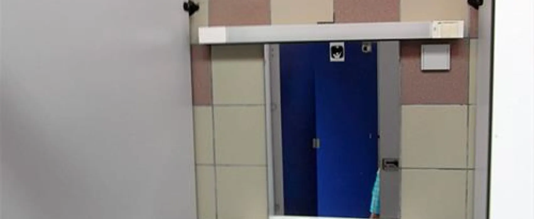 Les Grebes du Lac de Marcenay