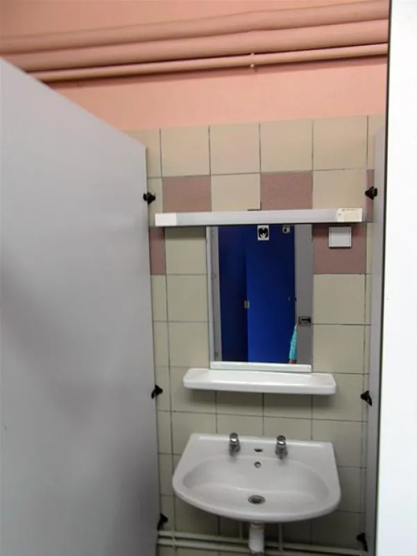 Les Grebes du Lac de Marcenay