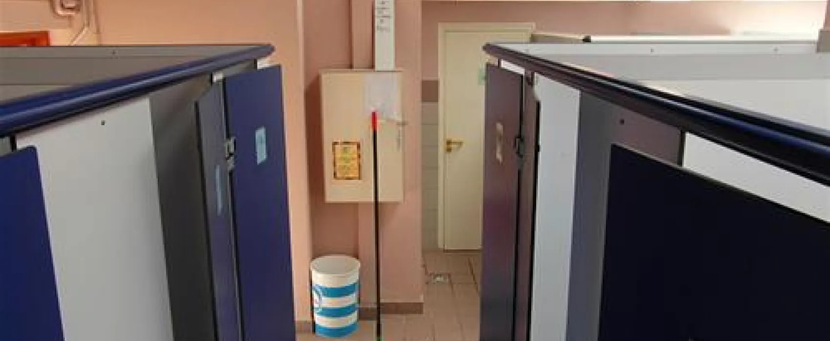 Les Grebes du Lac de Marcenay