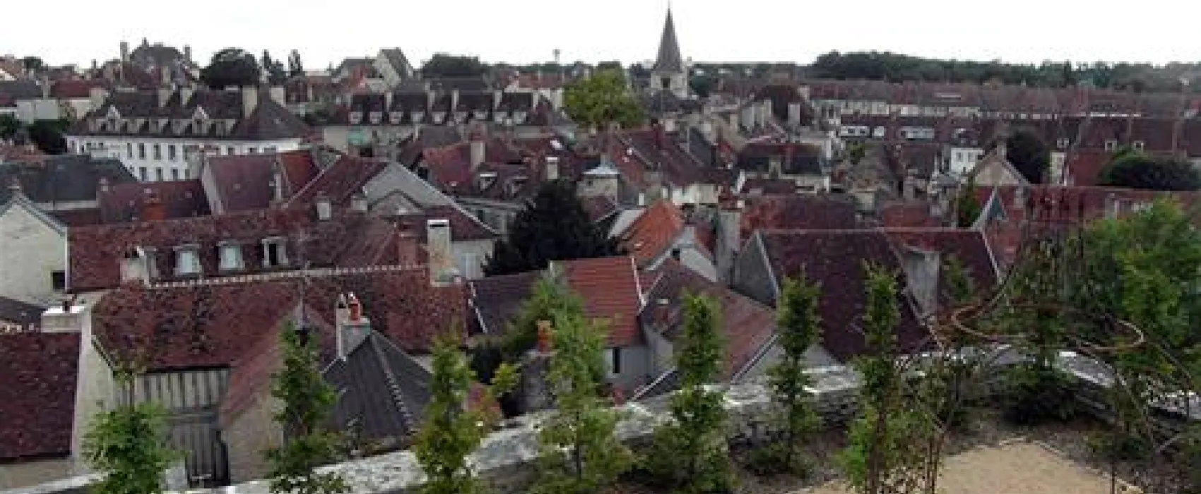 Les Grebes du Lac de Marcenay