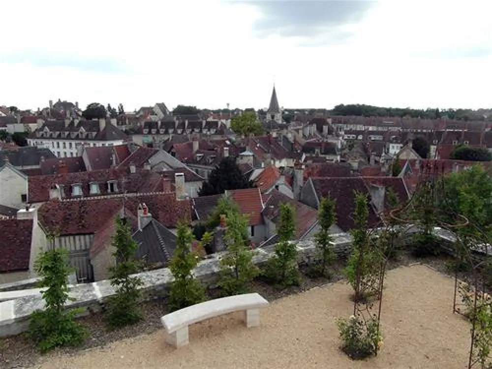 Les Grebes du Lac de Marcenay