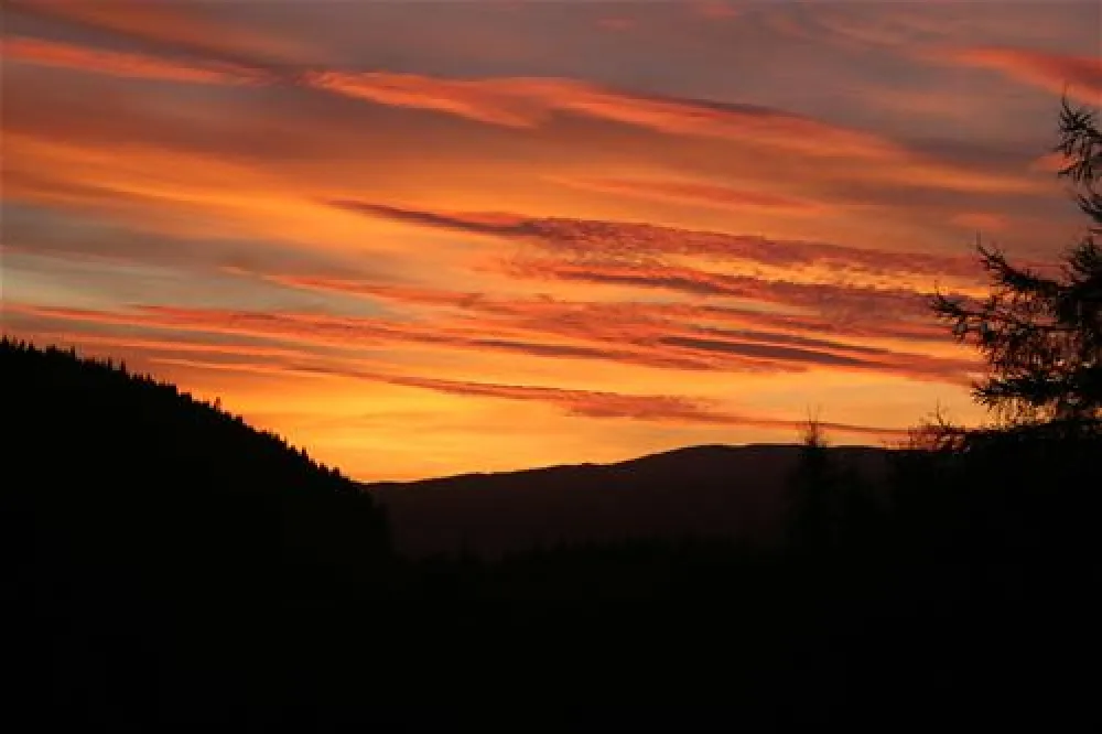 Faichemard Farm Camping Site