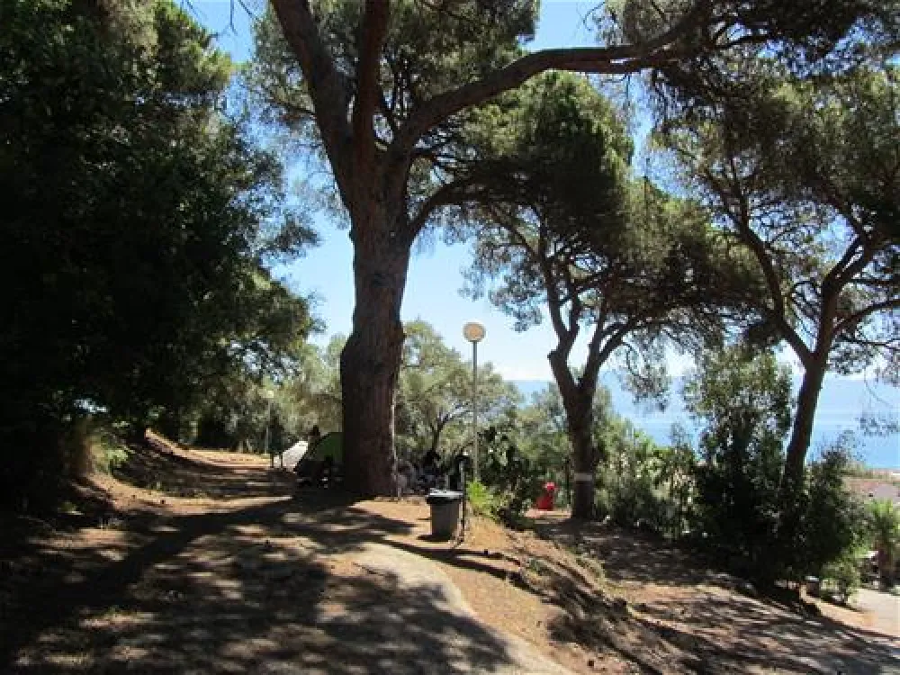 Camping Chateau De Barbicaggia  