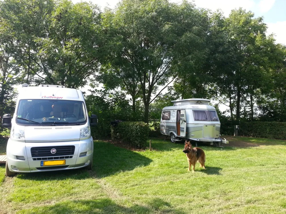 Camping Raayerhof