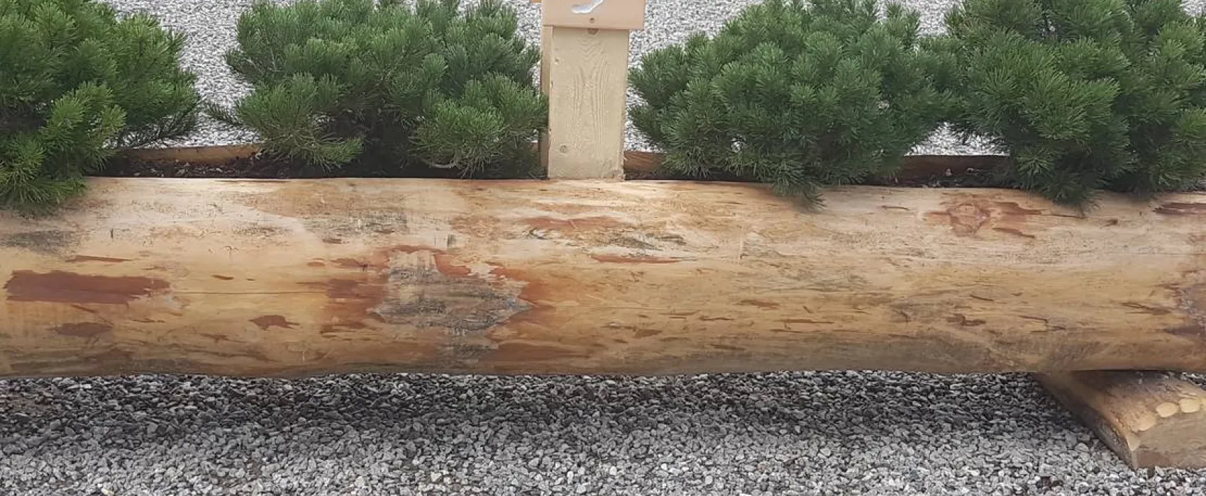 Camping Bergkristall