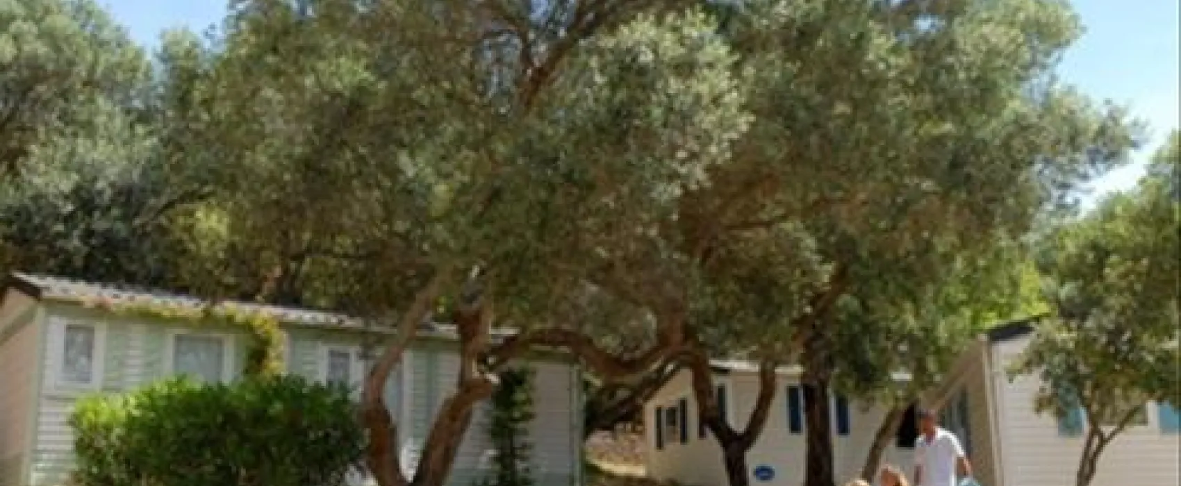 Camping campo di Liccia  