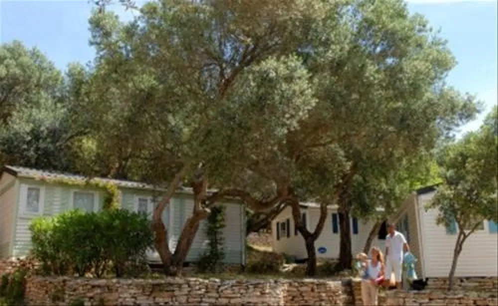 Camping campo di Liccia  