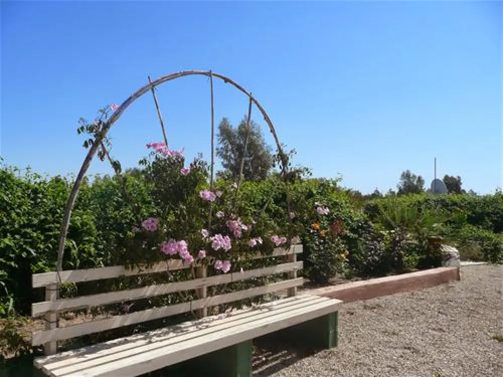 Camping los Gallardos