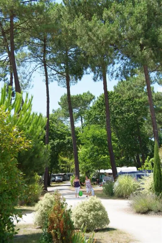 Camping Les Ourmes  