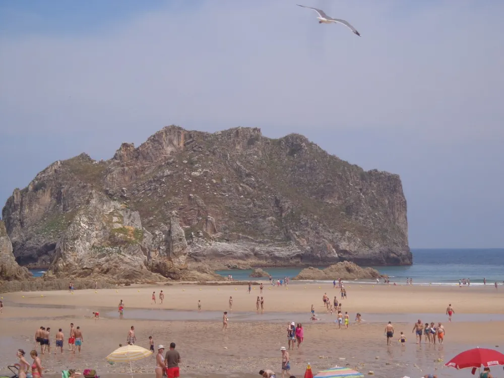 Camping las Hortensias