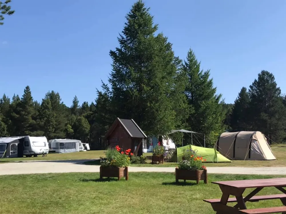 Røste Hyttetun og Camping