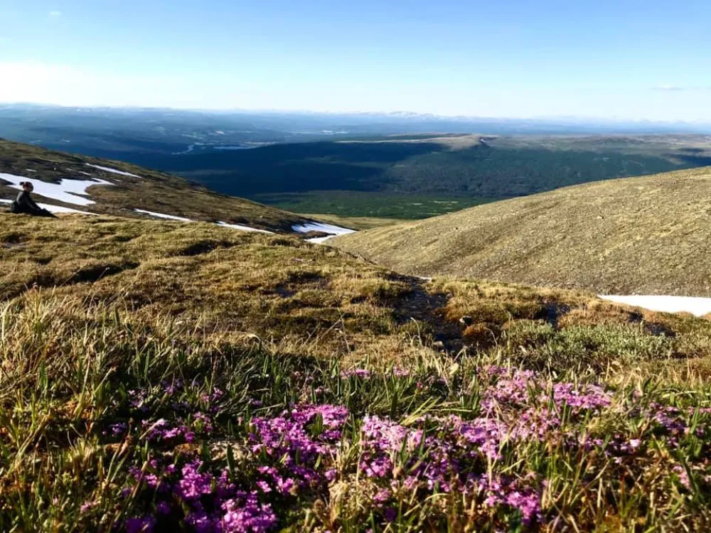 Røste Hyttetun og Camping
