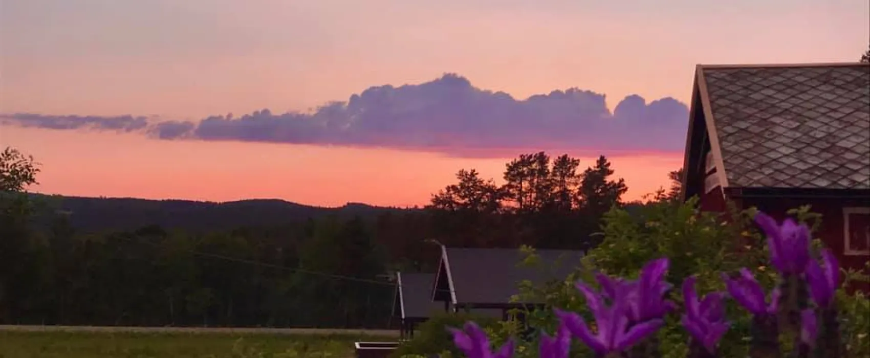 Røste Hyttetun og Camping