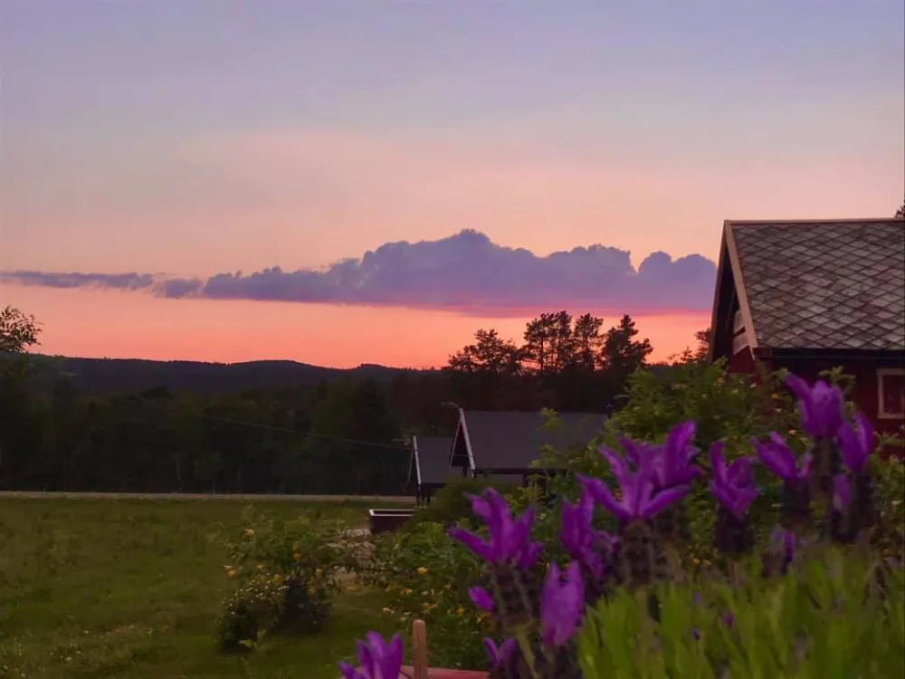 Røste Hyttetun og Camping