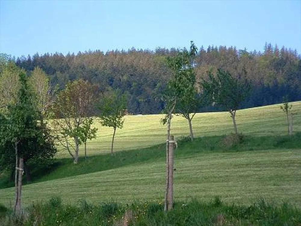 Camping Kirnermartes Hof