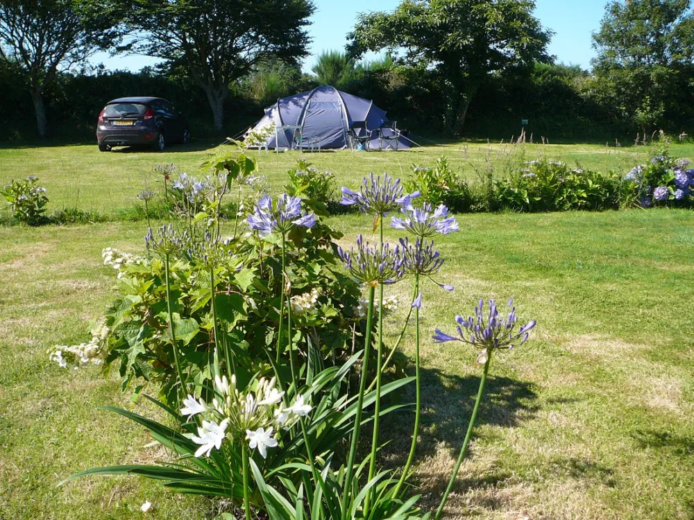 Camping Municipal le Tromeur