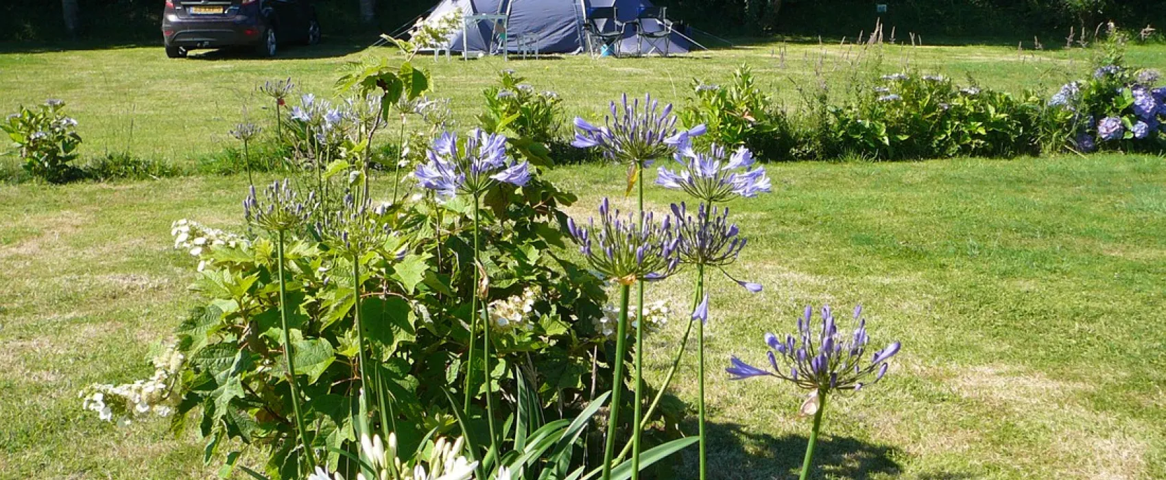 Camping Municipal le Tromeur