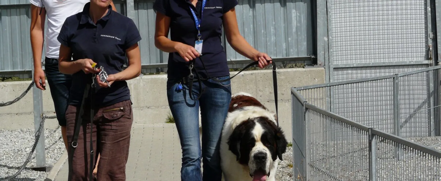 Camping Les Myosotis