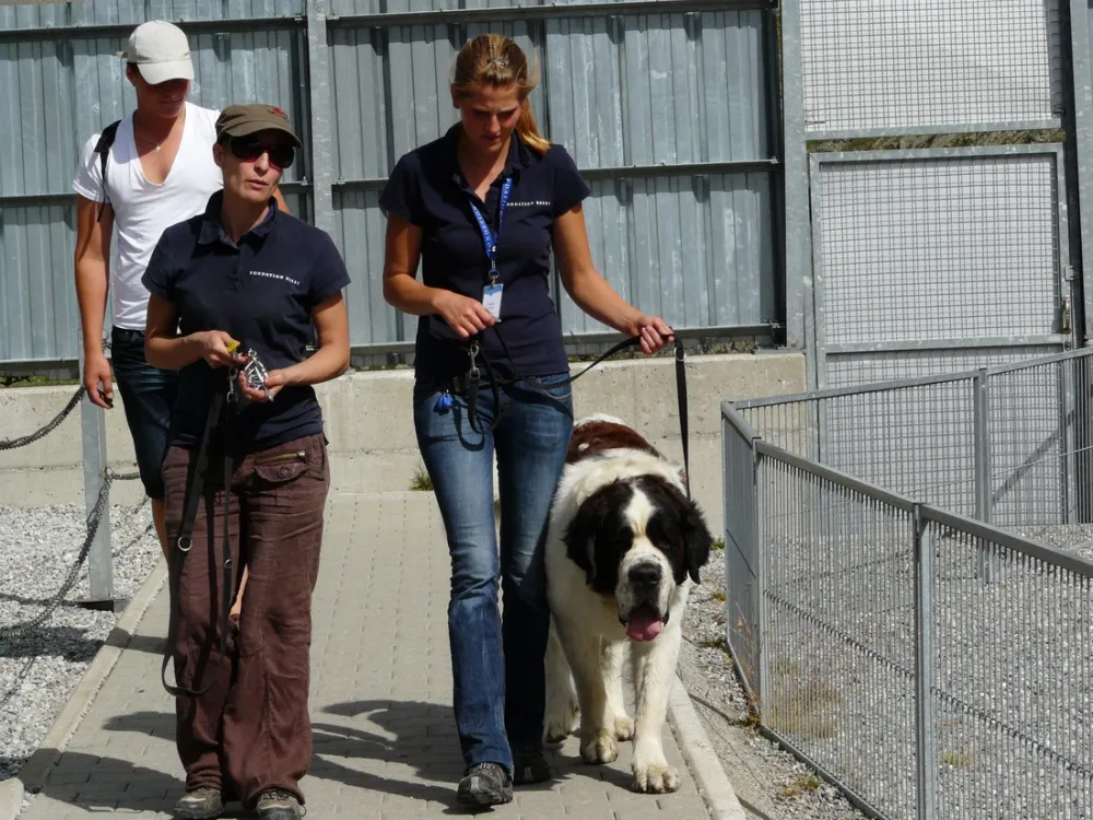 Camping Les Myosotis