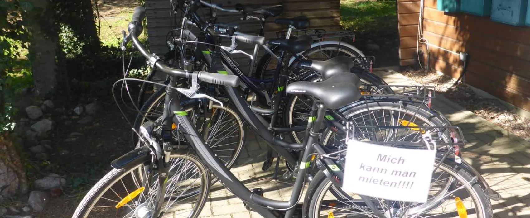 Camping Zum alten Mühlenteich