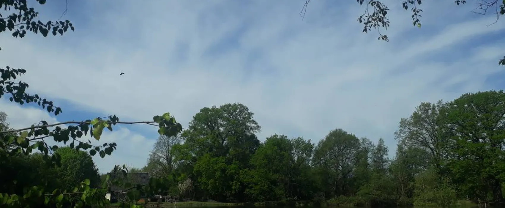 Camping Zum alten Mühlenteich