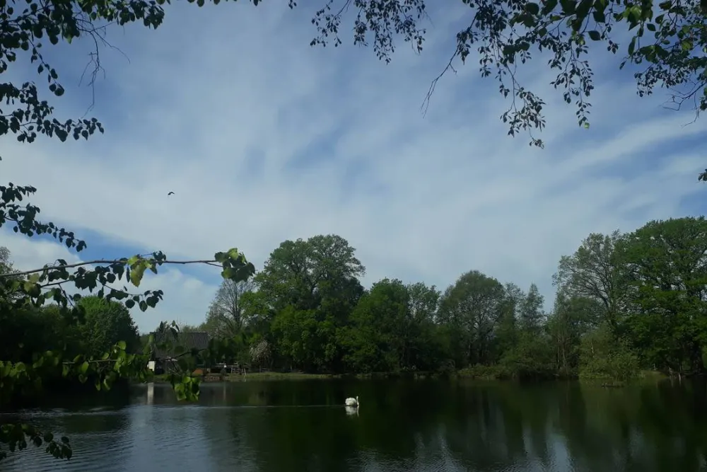 Camping Zum alten Mühlenteich