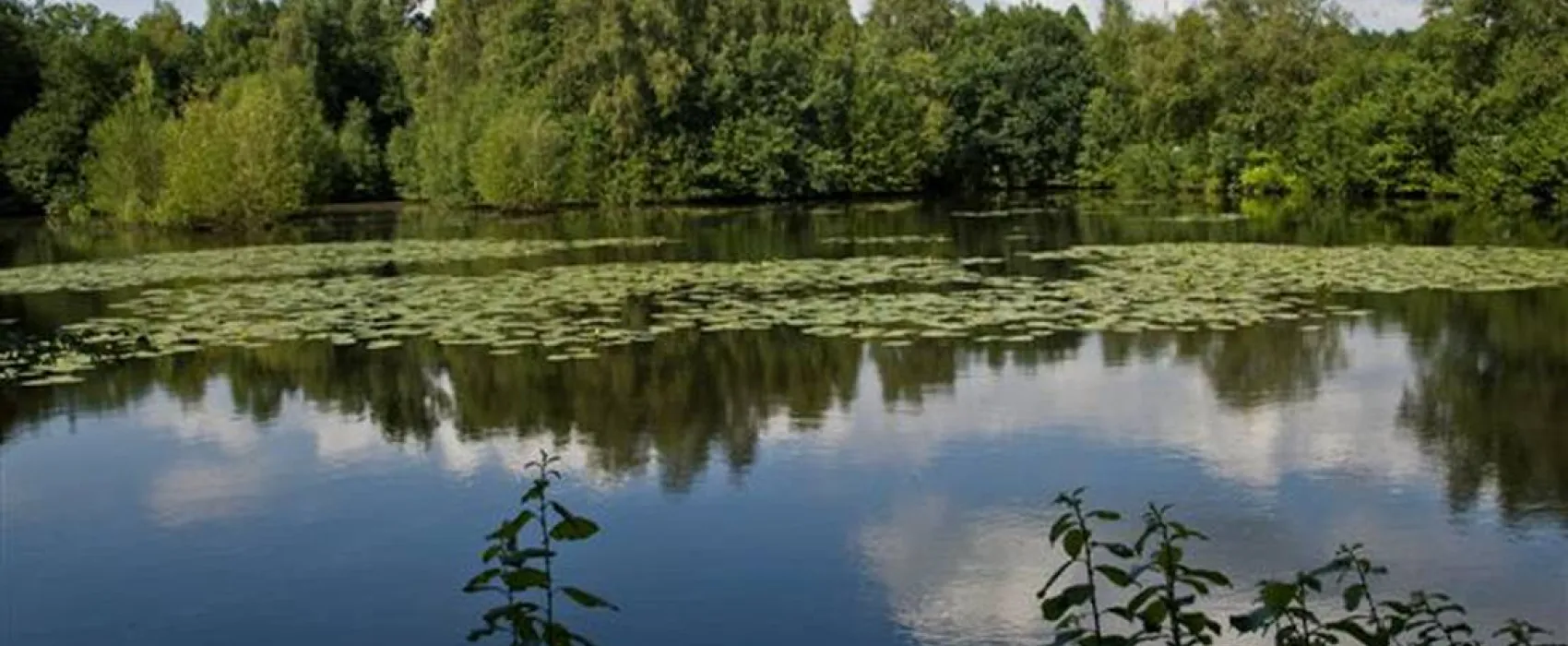 Camping Zum alten Mühlenteich