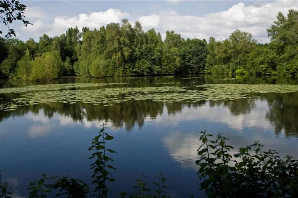 Camping Zum alten Mühlenteich