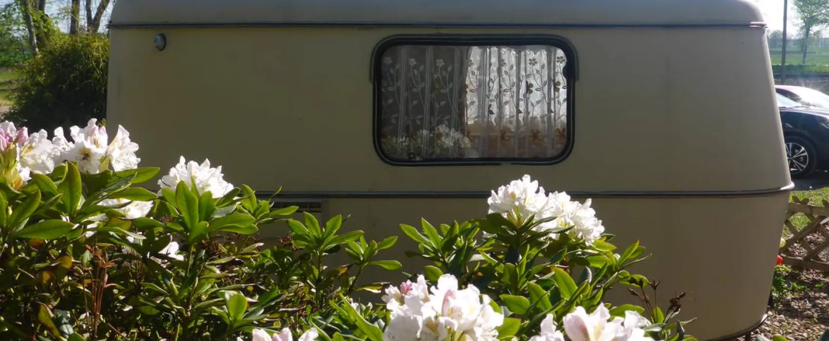 Camping Zum alten Mühlenteich