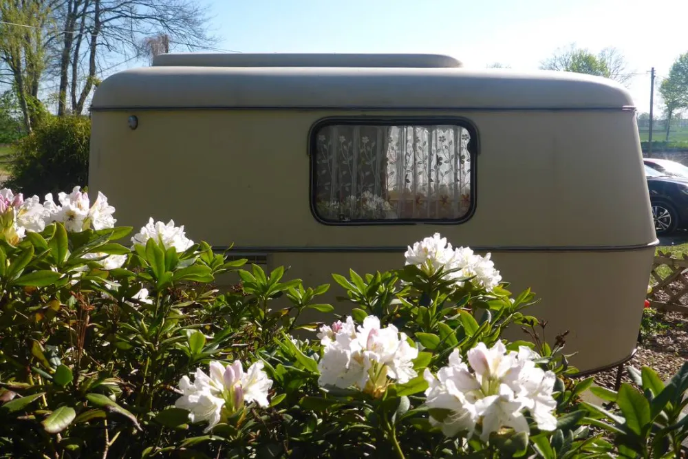 Camping Zum alten Mühlenteich