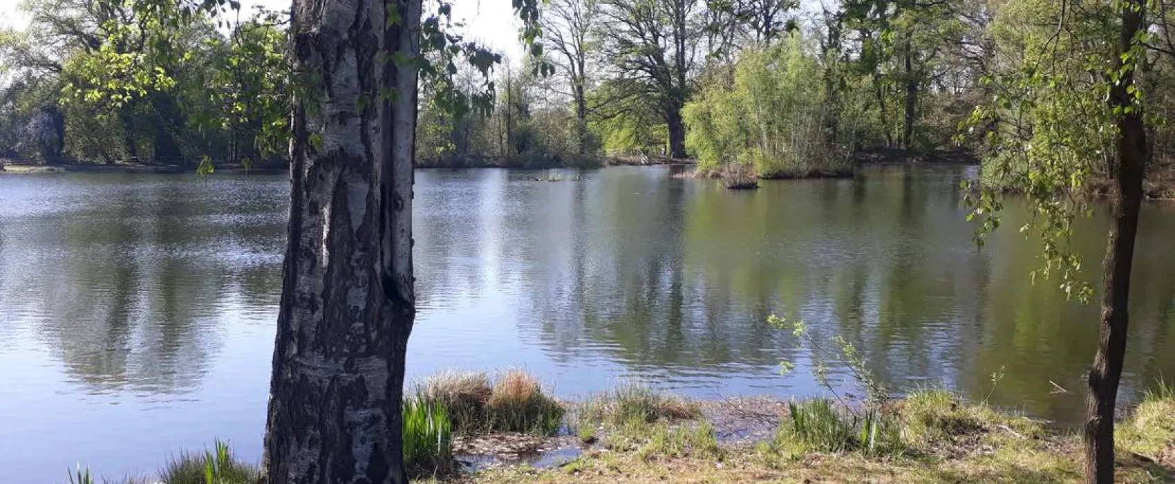 Camping Zum alten Mühlenteich