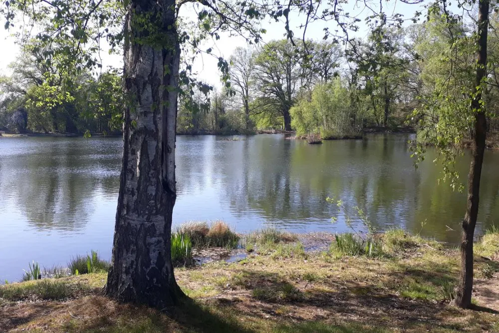 Camping Zum alten Mühlenteich