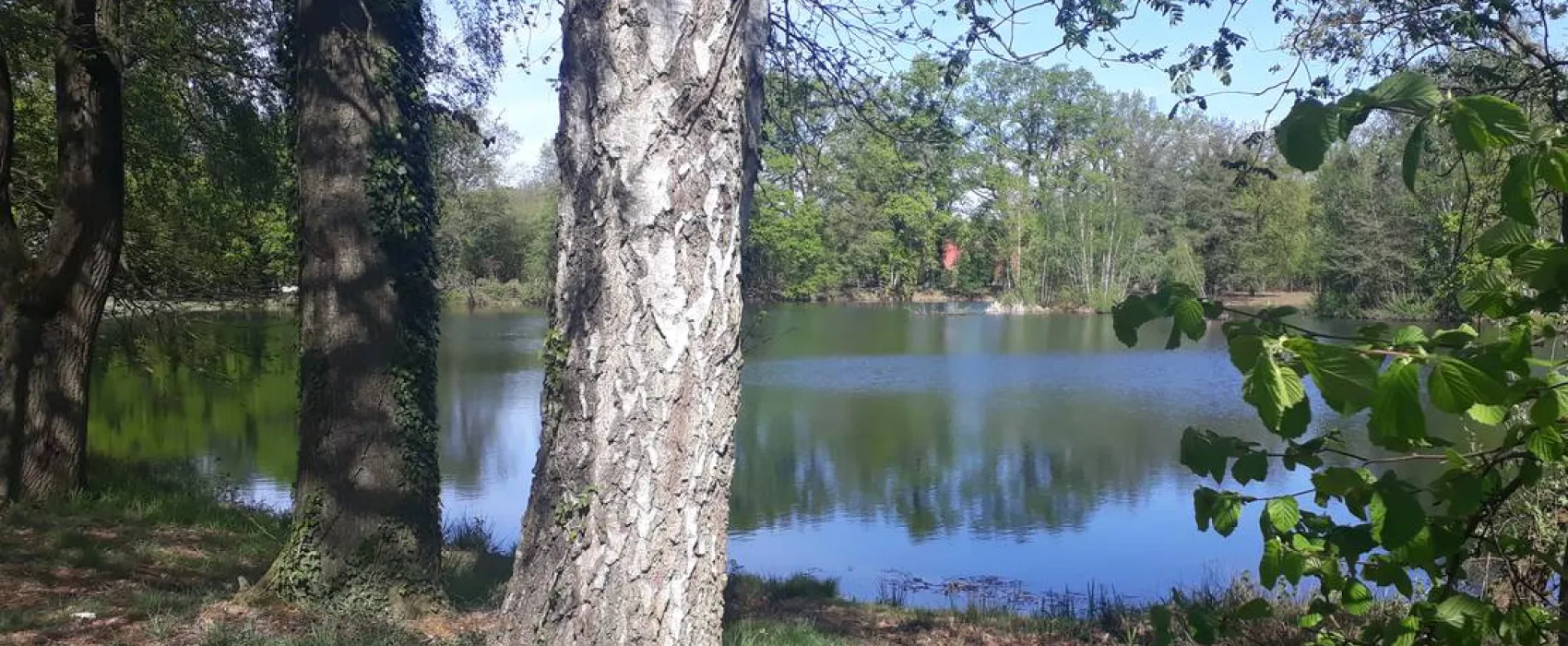 Camping Zum alten Mühlenteich