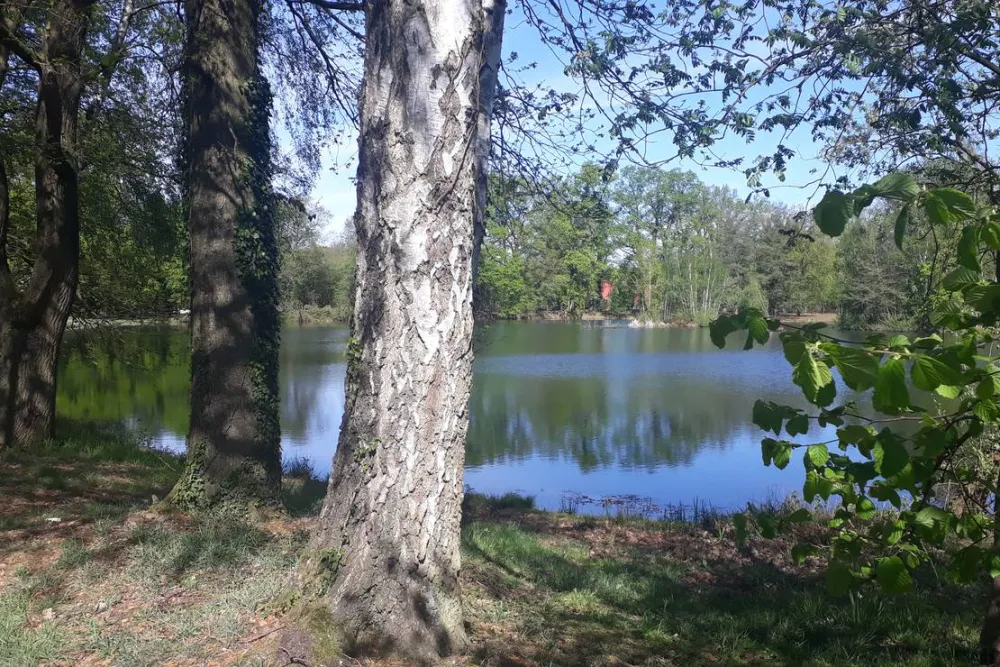 Camping Zum alten Mühlenteich