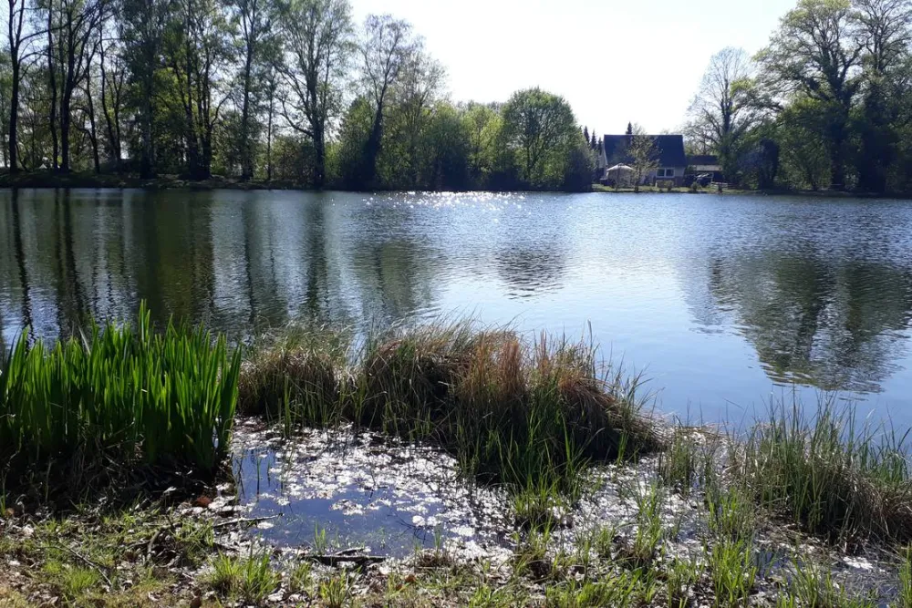 Camping Zum alten Mühlenteich