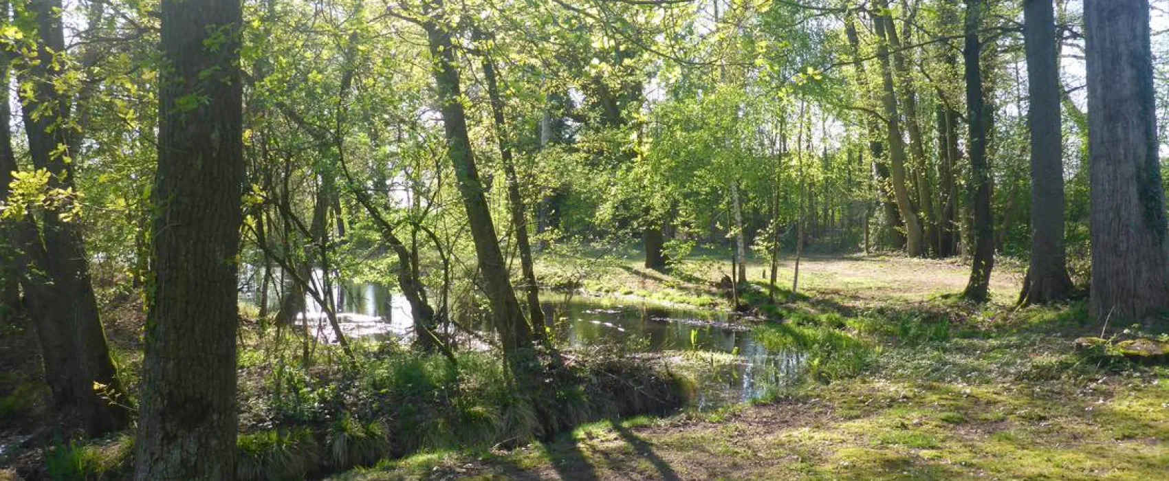 Camping Zum alten Mühlenteich