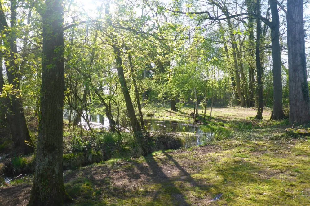 Camping Zum alten Mühlenteich