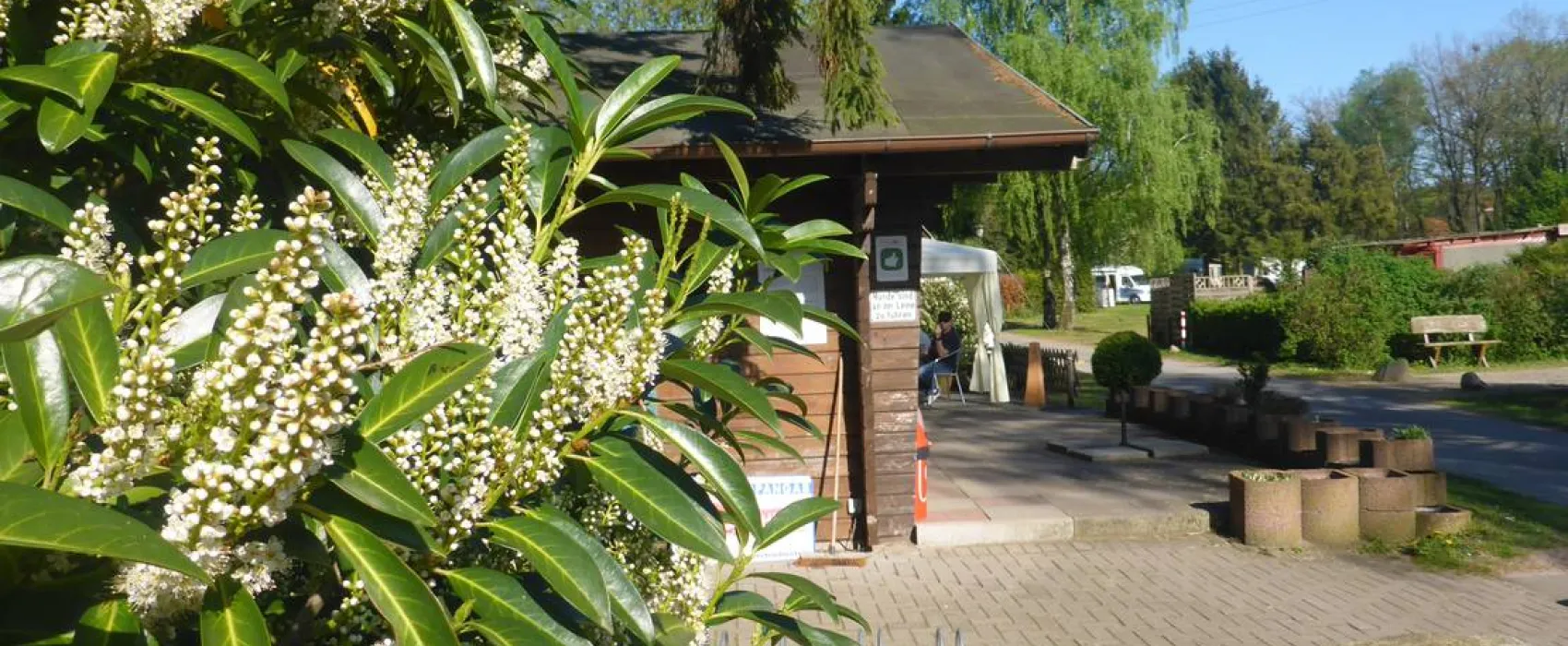 Camping Zum alten Mühlenteich