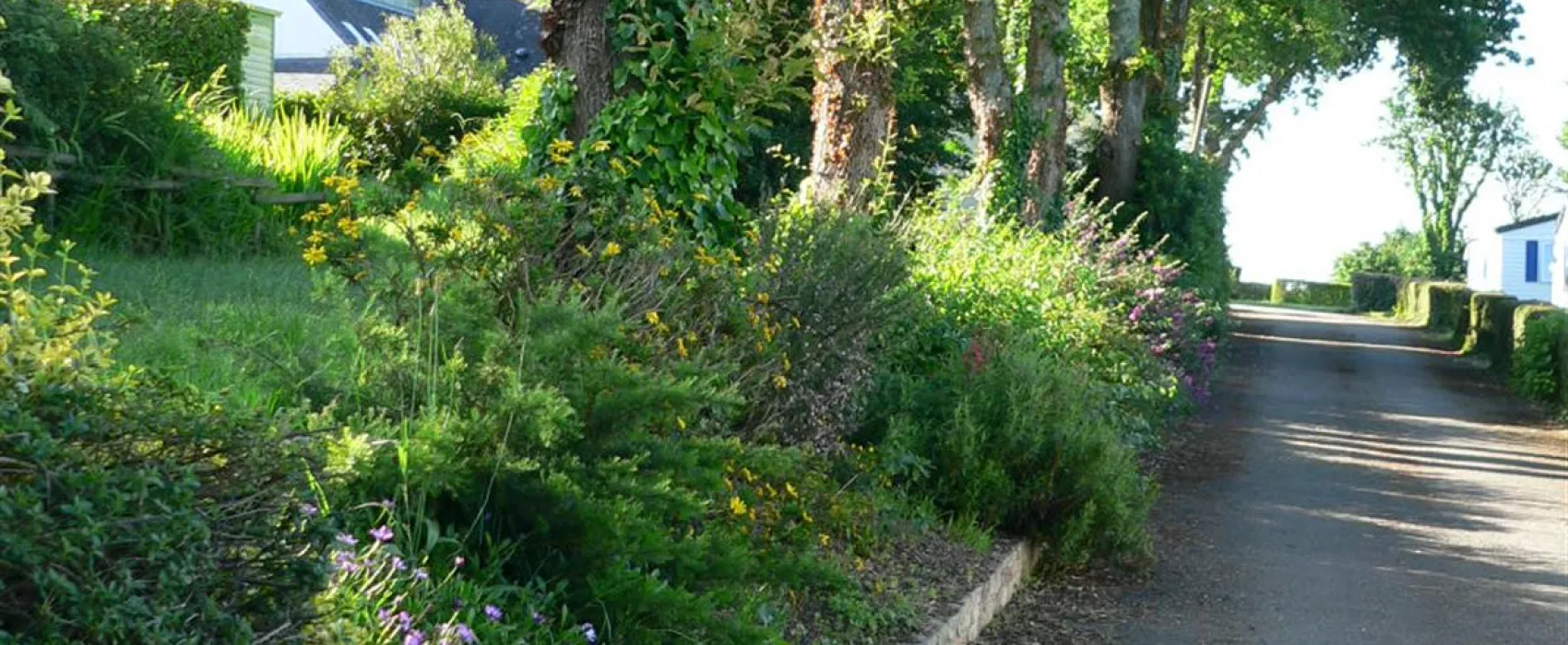 Camping Les Falaises  