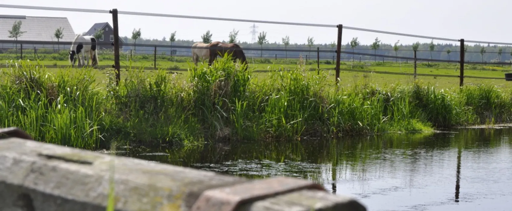 Minicamping Schotererf