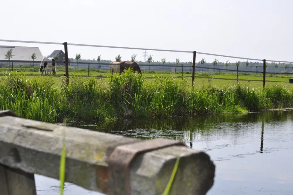 Minicamping Schotererf