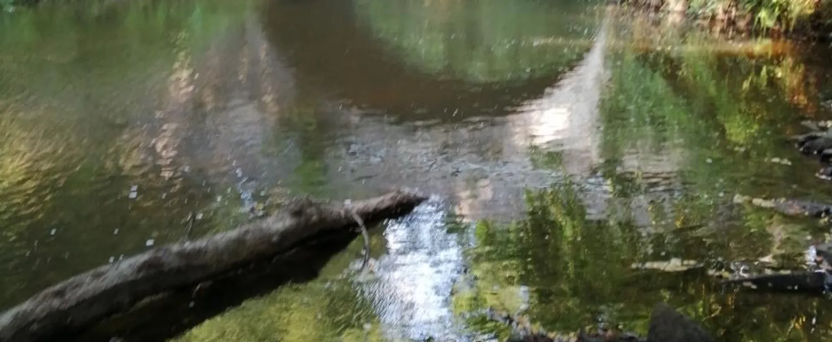 Camping La Chatonnière