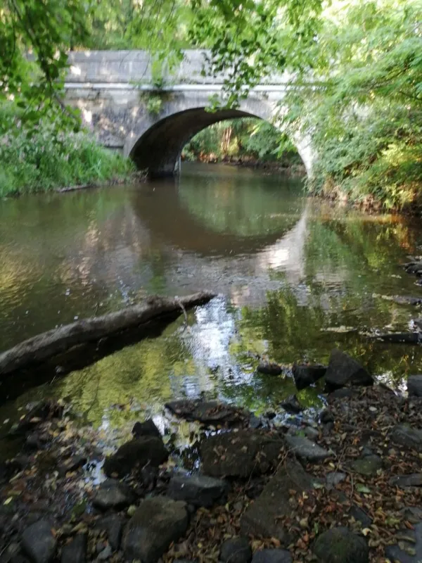 Camping La Chatonnière