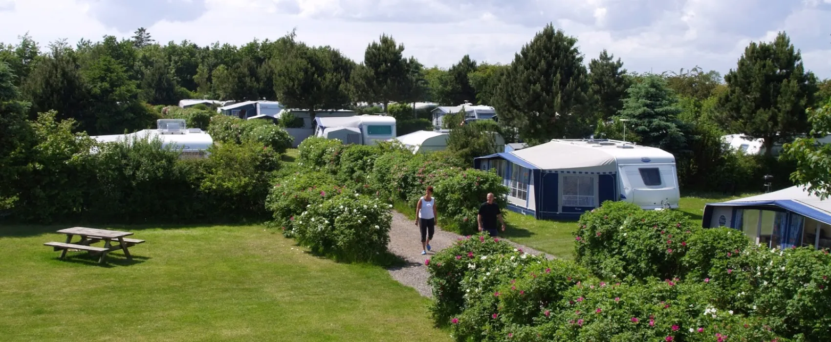 Rødvig Camping Stevns